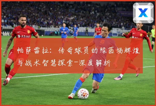 帕萨雷拉：传奇球员的绿茵场辉煌与战术智慧探索-深度解析