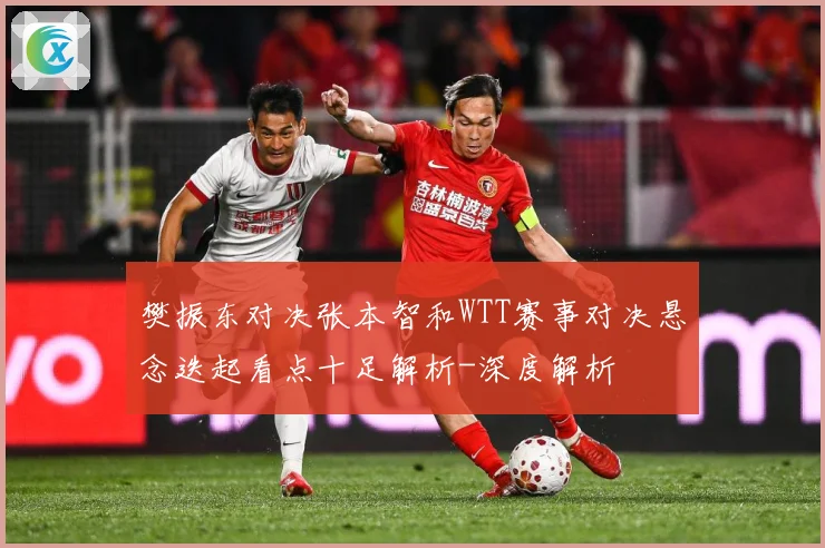 樊振东对决张本智和WTT赛事对决悬念迭起看点十足解析-深度解析