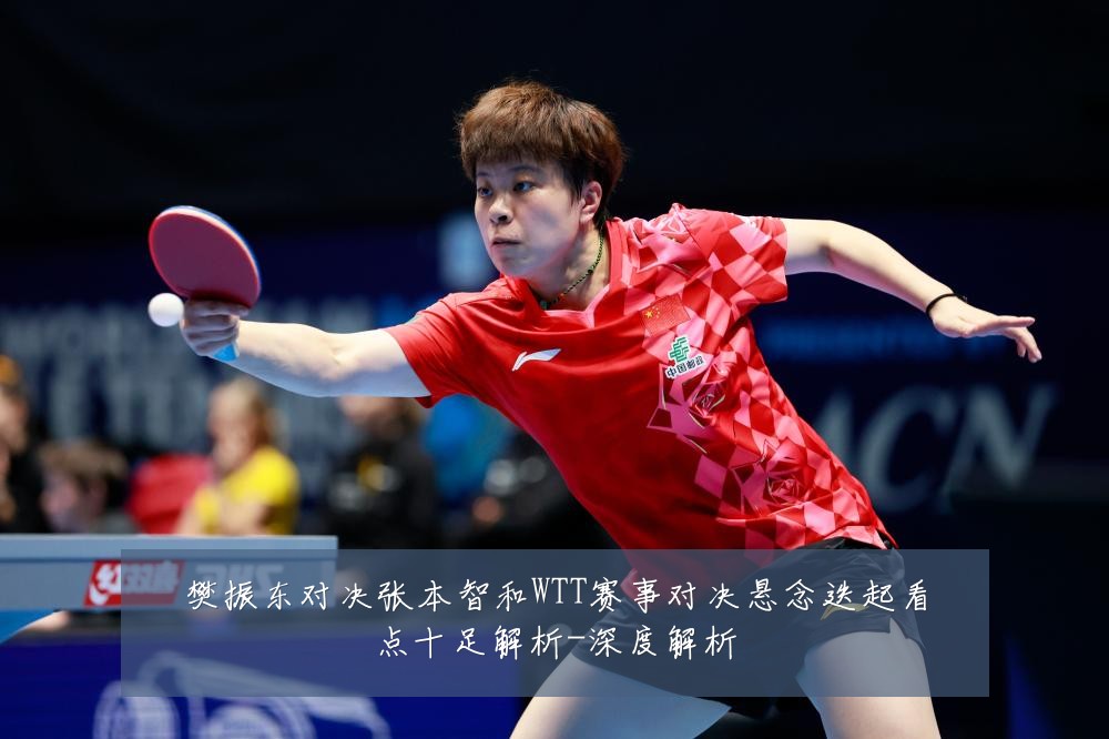 樊振东对决张本智和WTT赛事对决悬念迭起看点十足解析-深度解析